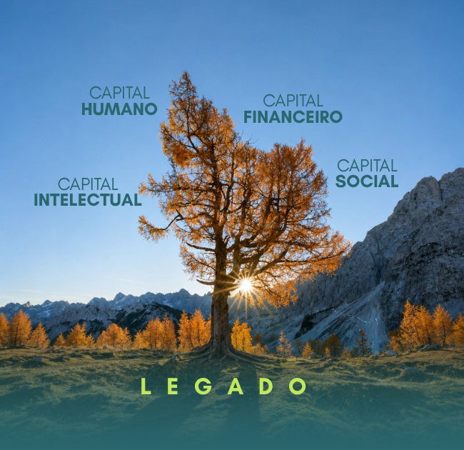Os quatro capitais de uma família